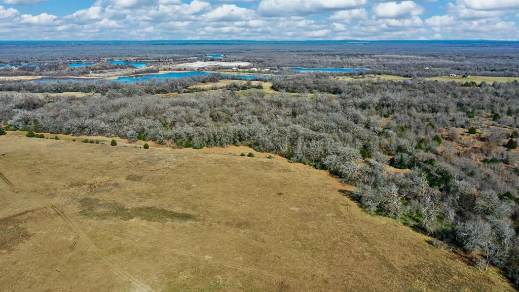 TBD Cr 295, Oakwood, Texas image 10