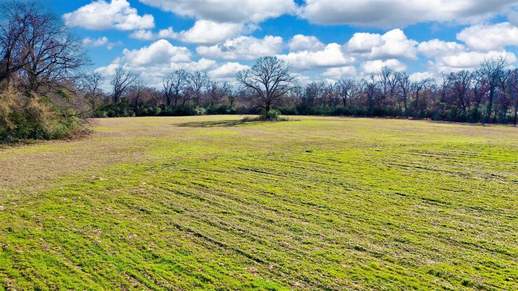 TBD Cr 295, Oakwood, Texas image 3