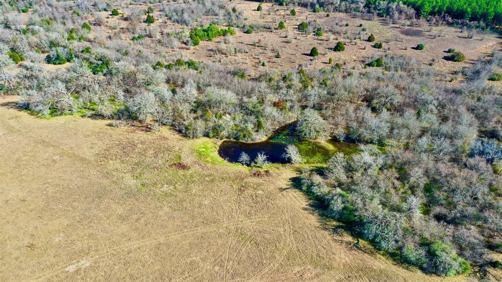 TBD Cr 295, Oakwood, Texas image 31