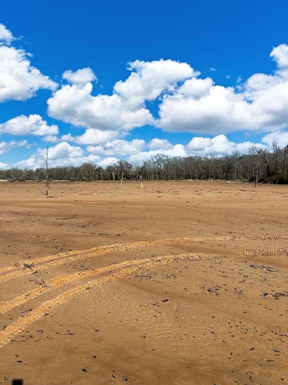 TBD Cr 295, Oakwood, Texas image 42