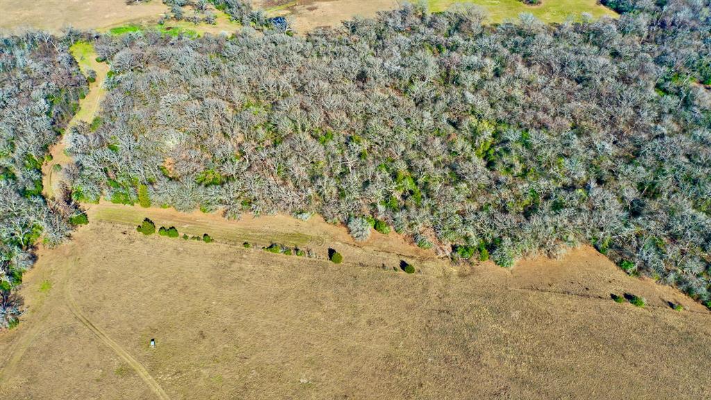 TBD Cr 295, Oakwood, Texas image 33