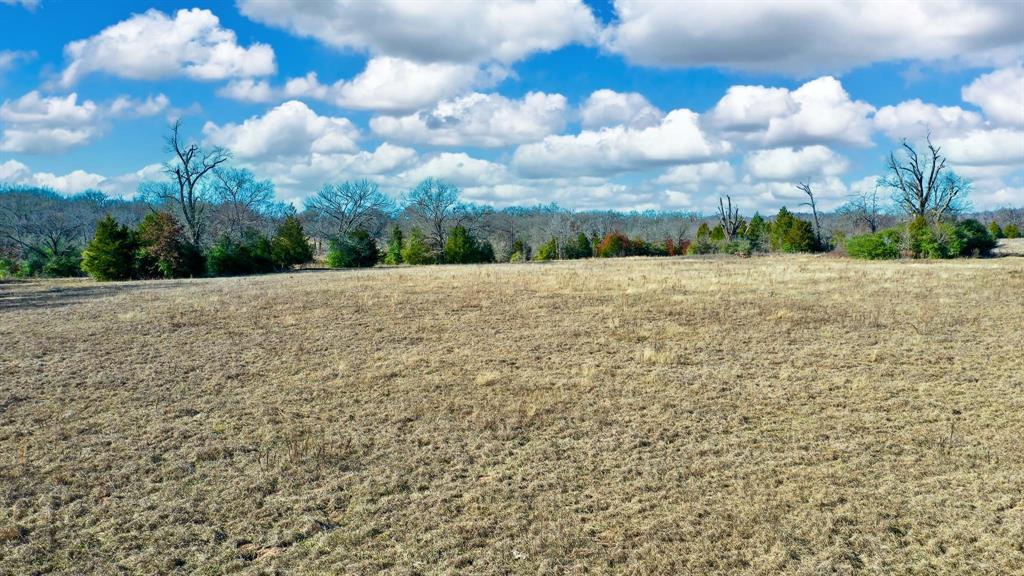 TBD Cr 295, Oakwood, Texas image 9