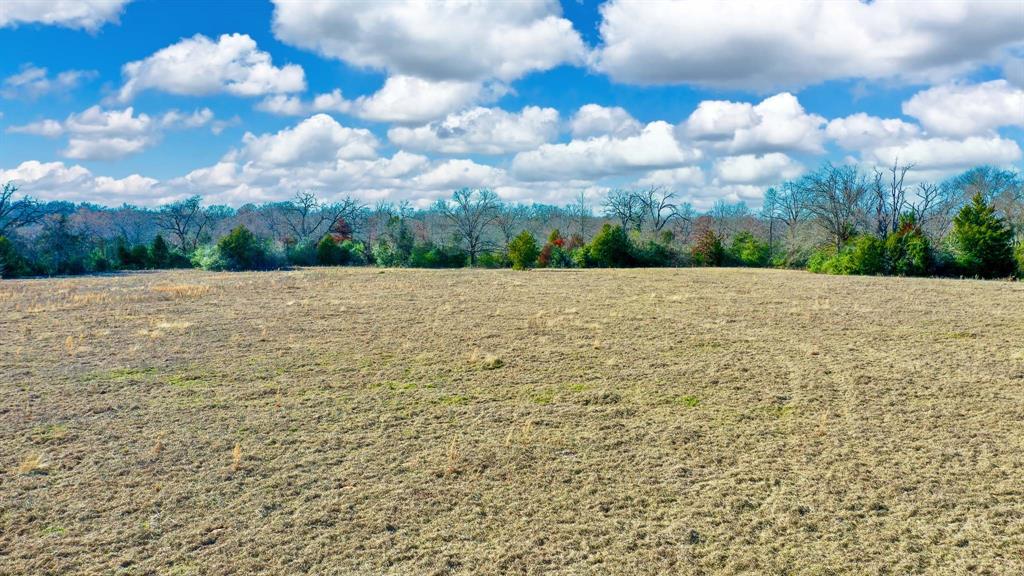 TBD Cr 295, Oakwood, Texas image 18