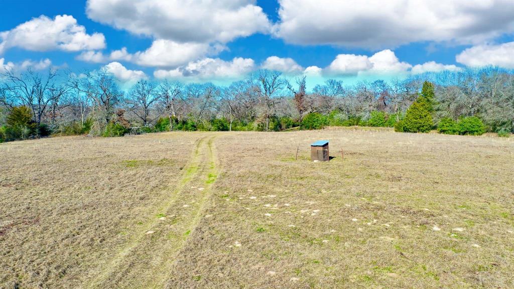 TBD Cr 295, Oakwood, Texas image 4