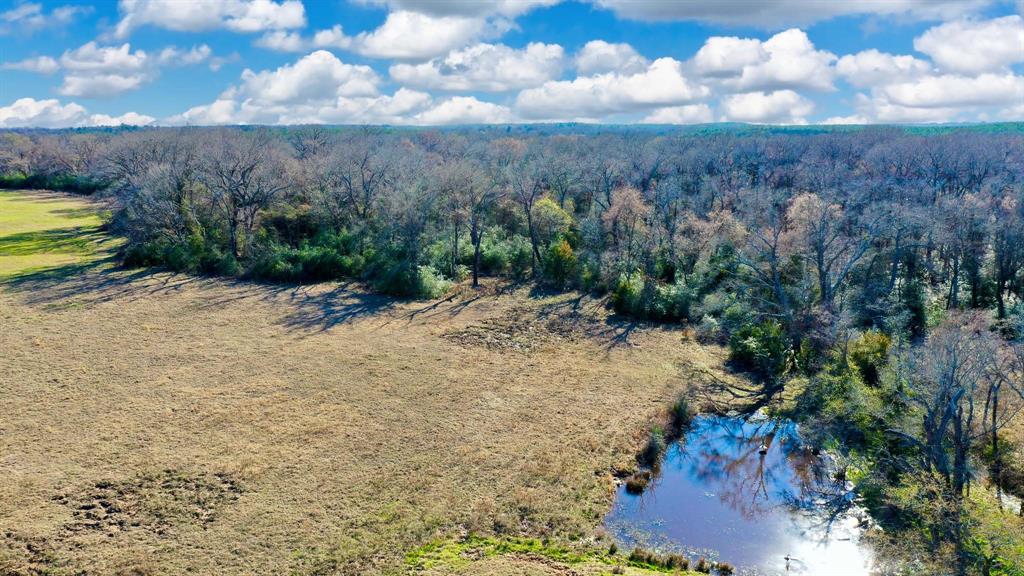 TBD Cr 295, Oakwood, Texas image 36