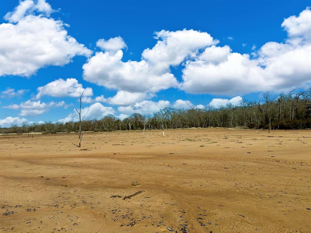 TBD Cr 295, Oakwood, Texas image 43