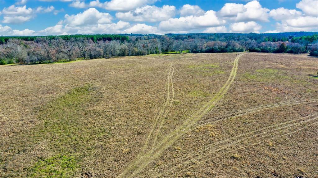 TBD Cr 295, Oakwood, Texas image 11