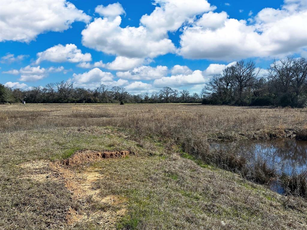 TBD Cr 295, Oakwood, Texas image 41