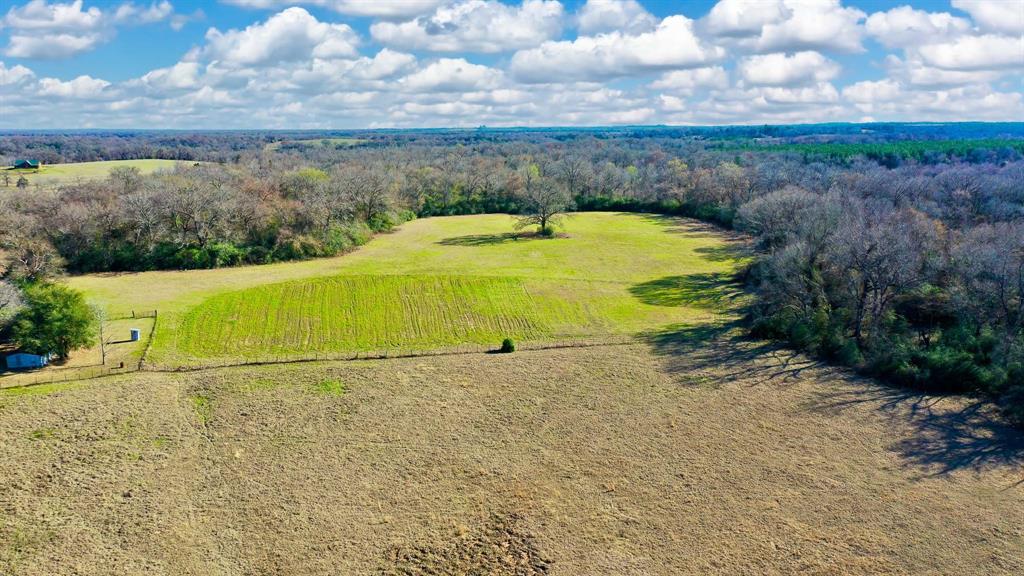 TBD Cr 295, Oakwood, Texas image 24