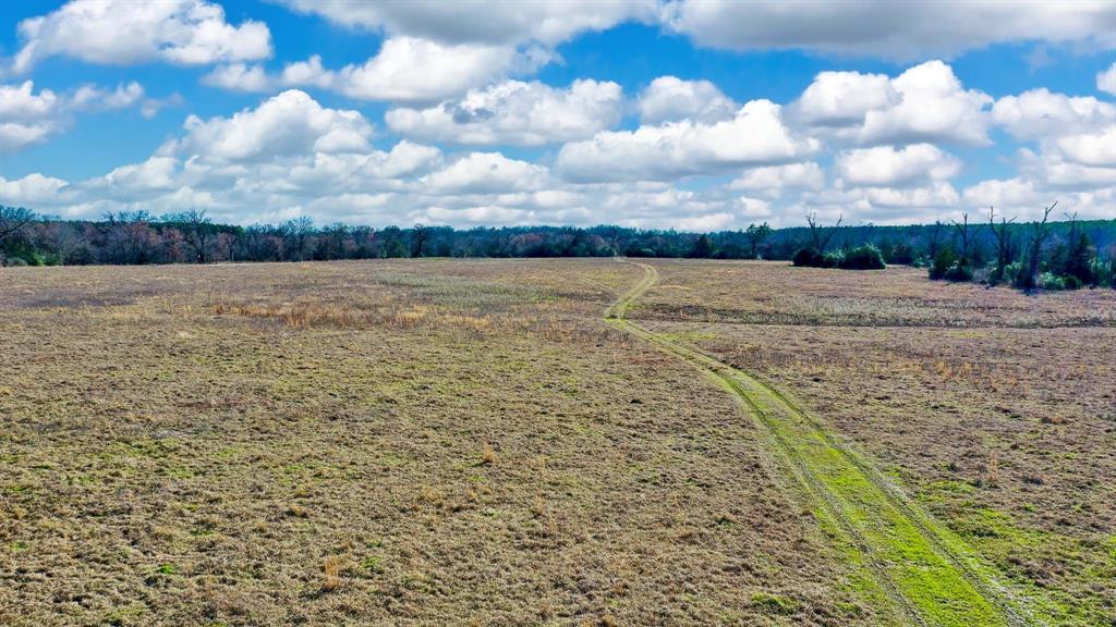 TBD Cr 295, Oakwood, Texas image 7