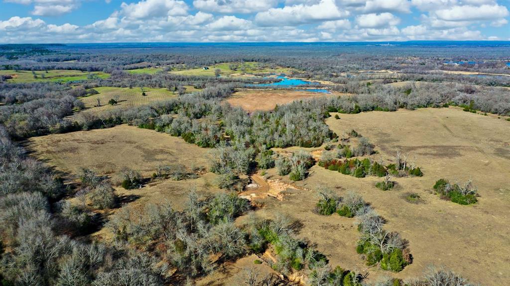 TBD Cr 295, Oakwood, Texas image 21