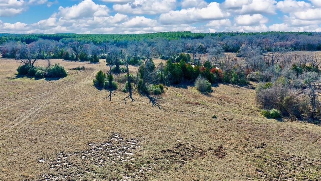 TBD Cr 295, Oakwood, Texas image 12