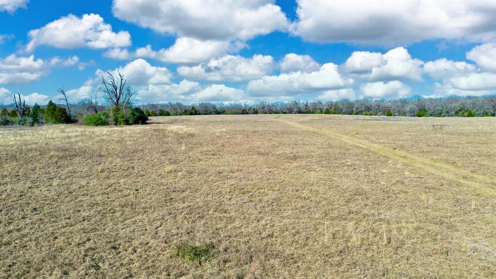 TBD Cr 295, Oakwood, Texas image 39