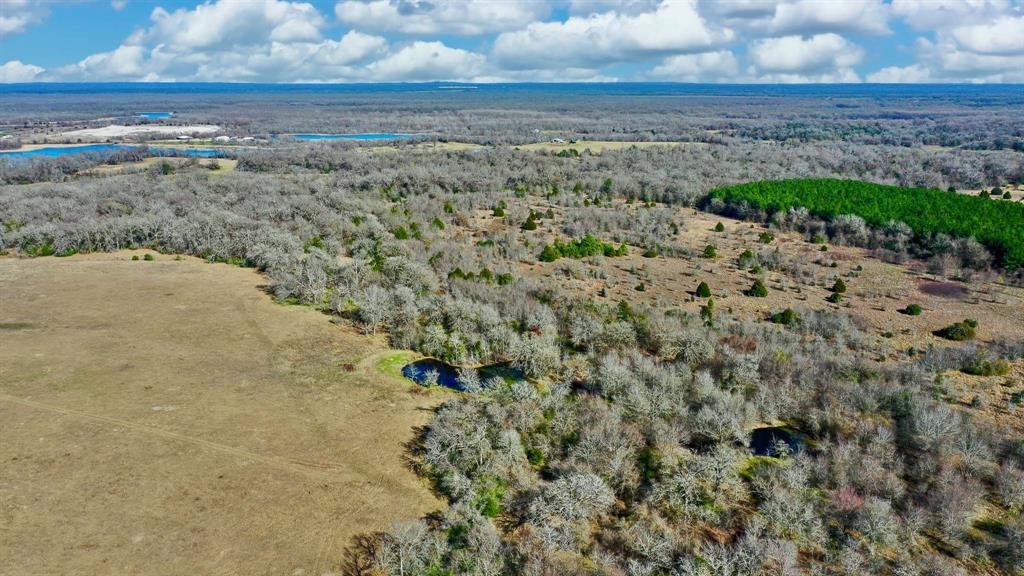 TBD Cr 295, Oakwood, Texas image 15