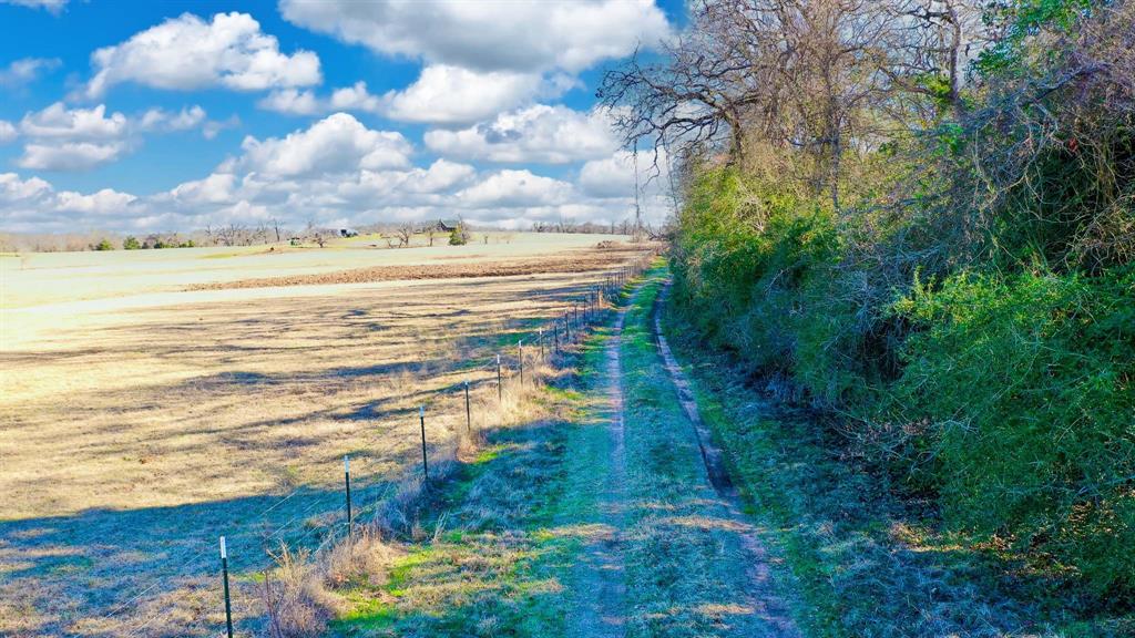 TBD Cr 295, Oakwood, Texas image 34