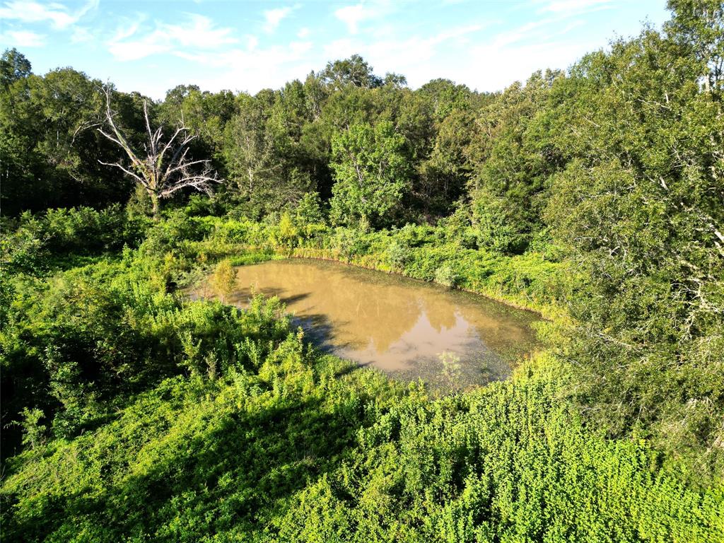 000 County Road 2856, Cleveland, Texas image 7