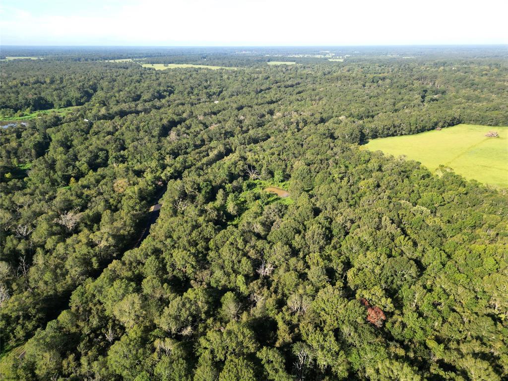 000 County Road 2856, Cleveland, Texas image 6