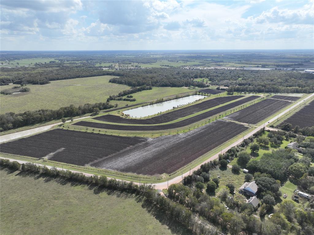 00 Bartlett Road Lots 1 And 2, Sealy, Texas image 14