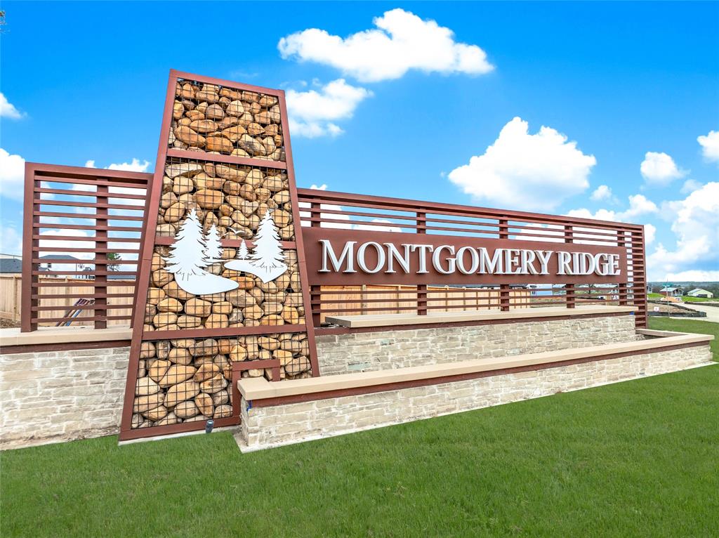 19576 Stripe Hill Bend, Montgomery, Texas image 28