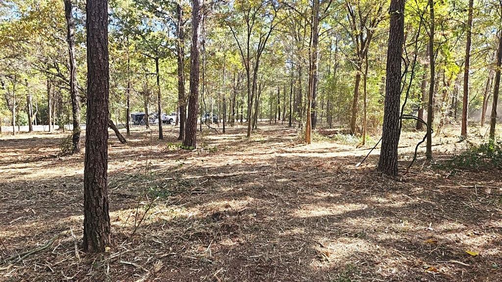 3737 Bruce Lot 2 Road, Poteet, Texas image 2