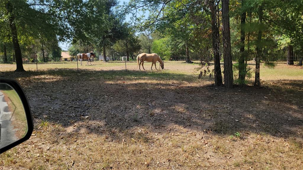 3737 Bruce Lot 2 Road, Poteet, Texas image 5