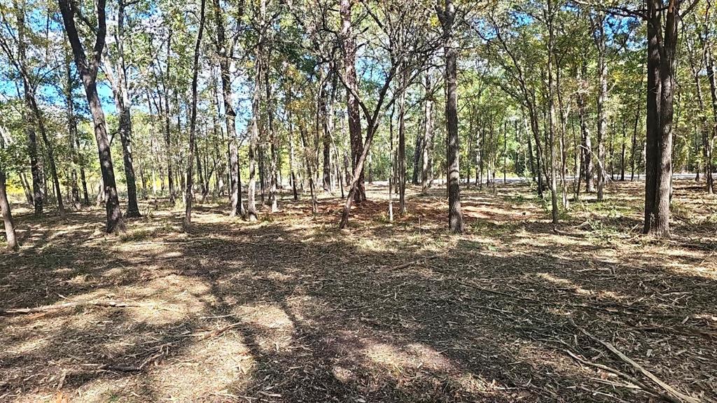 3737 Bruce Lot 2 Road, Poteet, Texas image 10