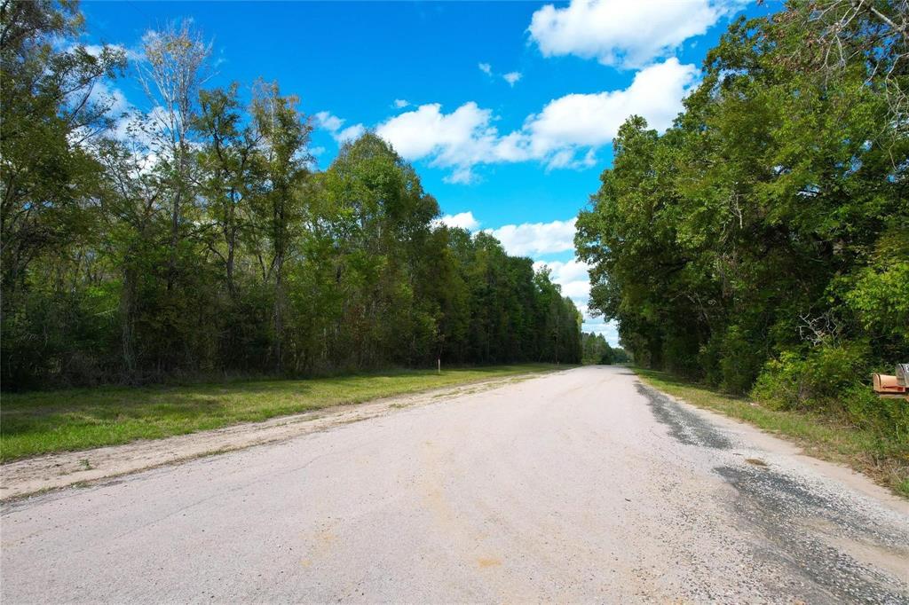 3737 Bruce Lot 2 Road, Poteet, Texas image 13