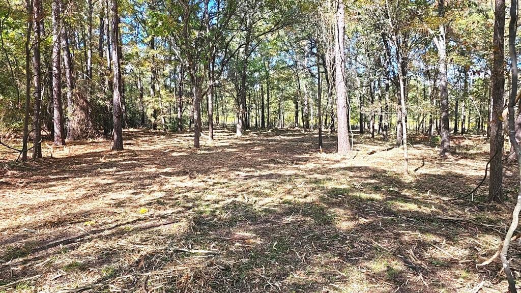3737 Bruce Lot 2 Road, Poteet, Texas image 7