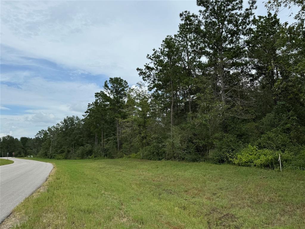 Photo 8 of 18 of 15613 Forest Knoll Road land