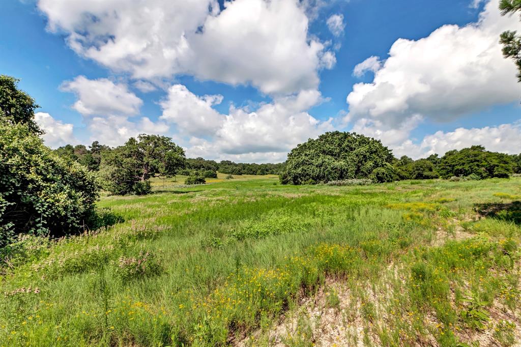 1294 Private Road 1311, Centerville, Texas image 12