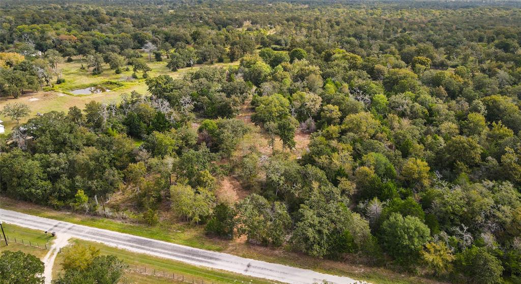 17187 County Road 433 - 14 Acres, Snook, Texas image 6