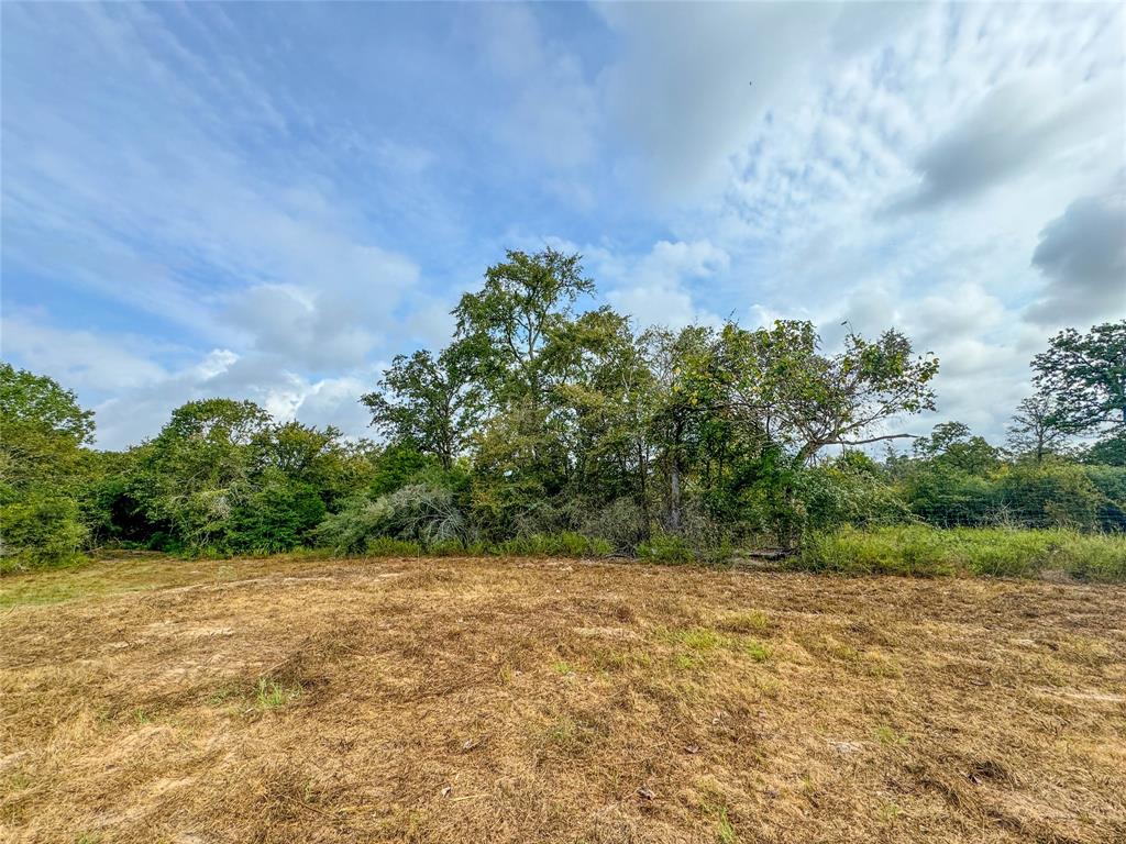 17187 County Road 433 - 14 Acres, Snook, Texas image 4