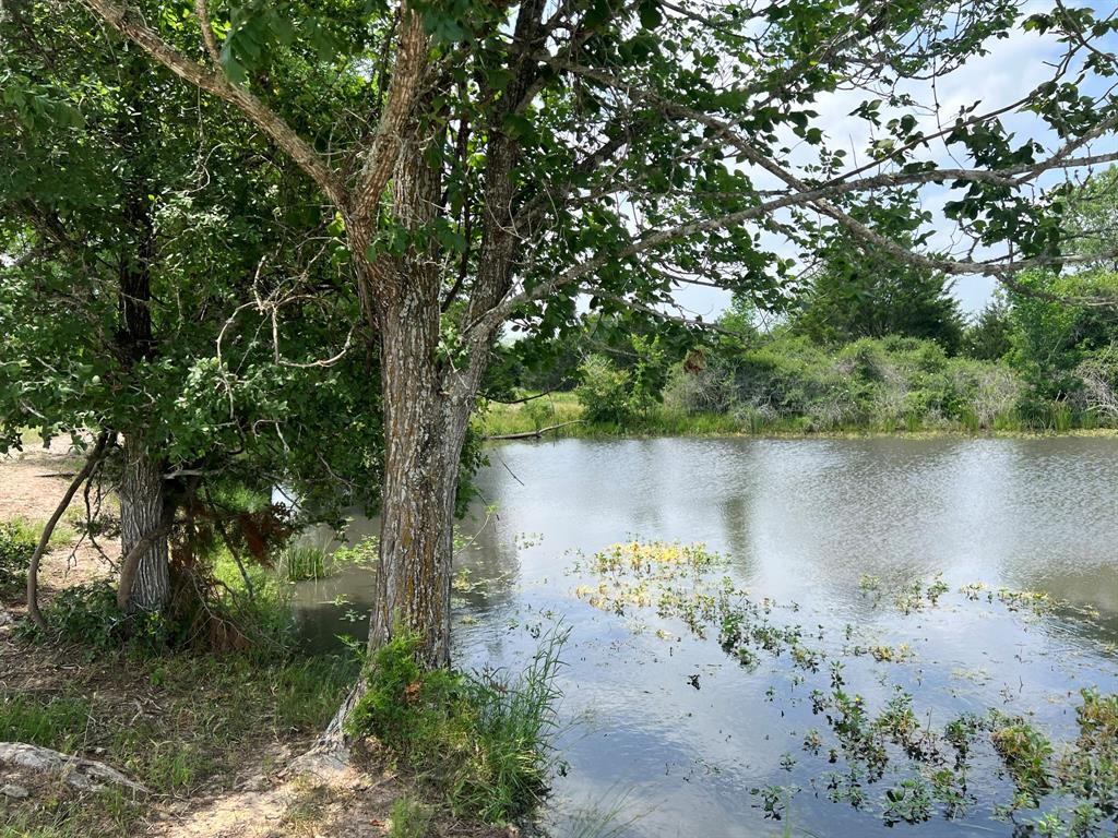 TBD I-10 Feeder, Flatonia, Texas image 1