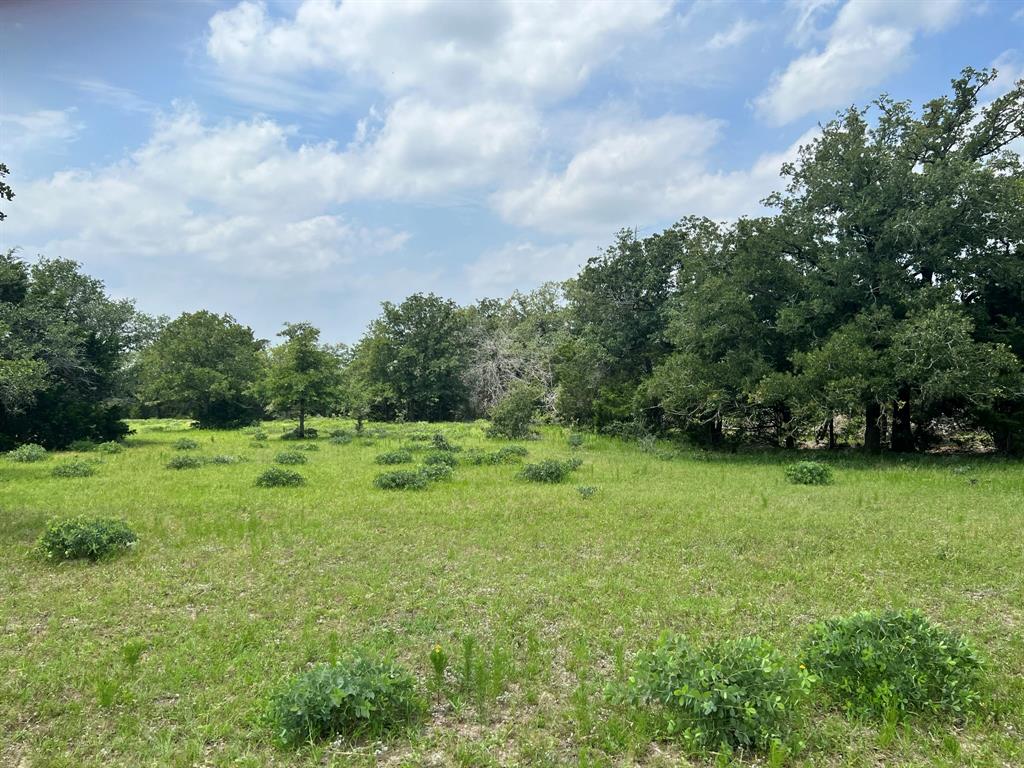 TBD I-10 Feeder, Flatonia, Texas image 6