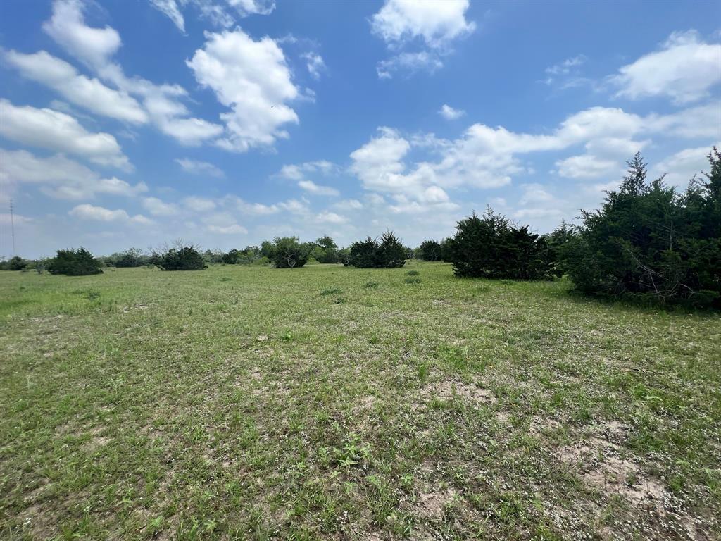 TBD I-10 Feeder, Flatonia, Texas image 8