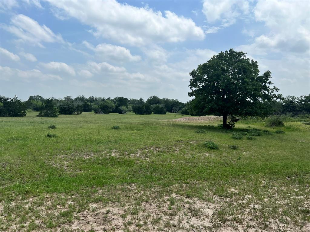 TBD I-10 Feeder, Flatonia, Texas image 4