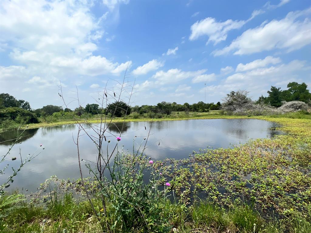 TBD I-10 Feeder, Flatonia, Texas image 3