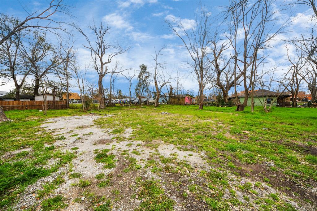 245 Palmyra Street, Houston, Texas image 21