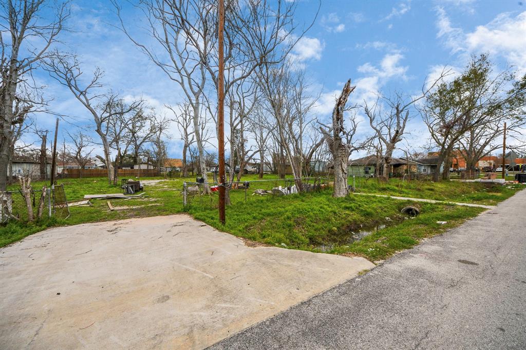 245 Palmyra Street, Houston, Texas image 19