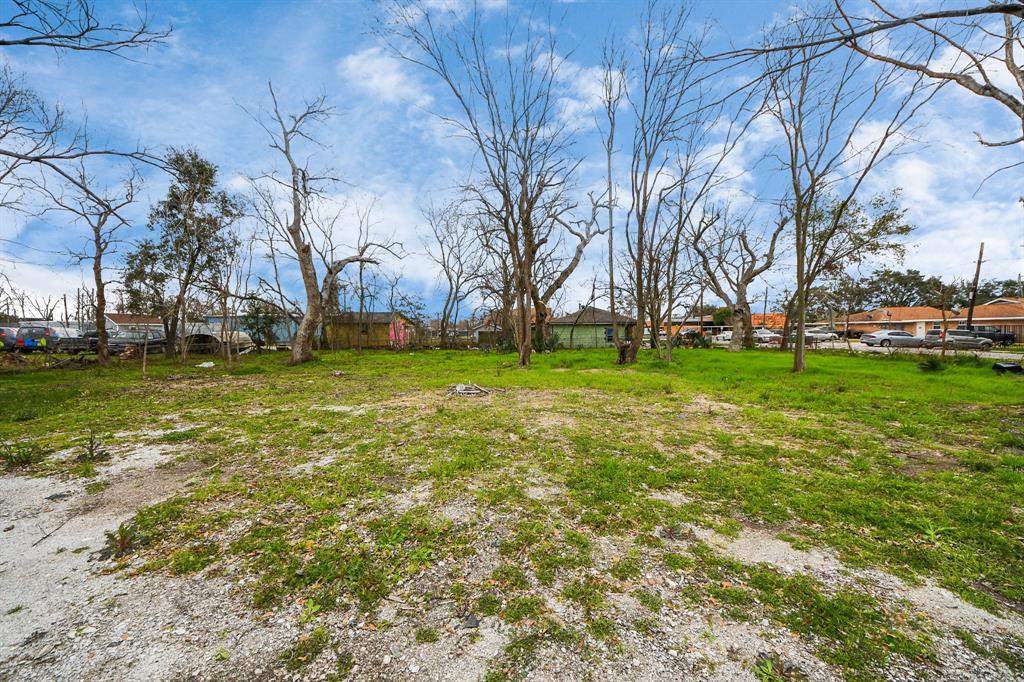 245 Palmyra Street, Houston, Texas image 22