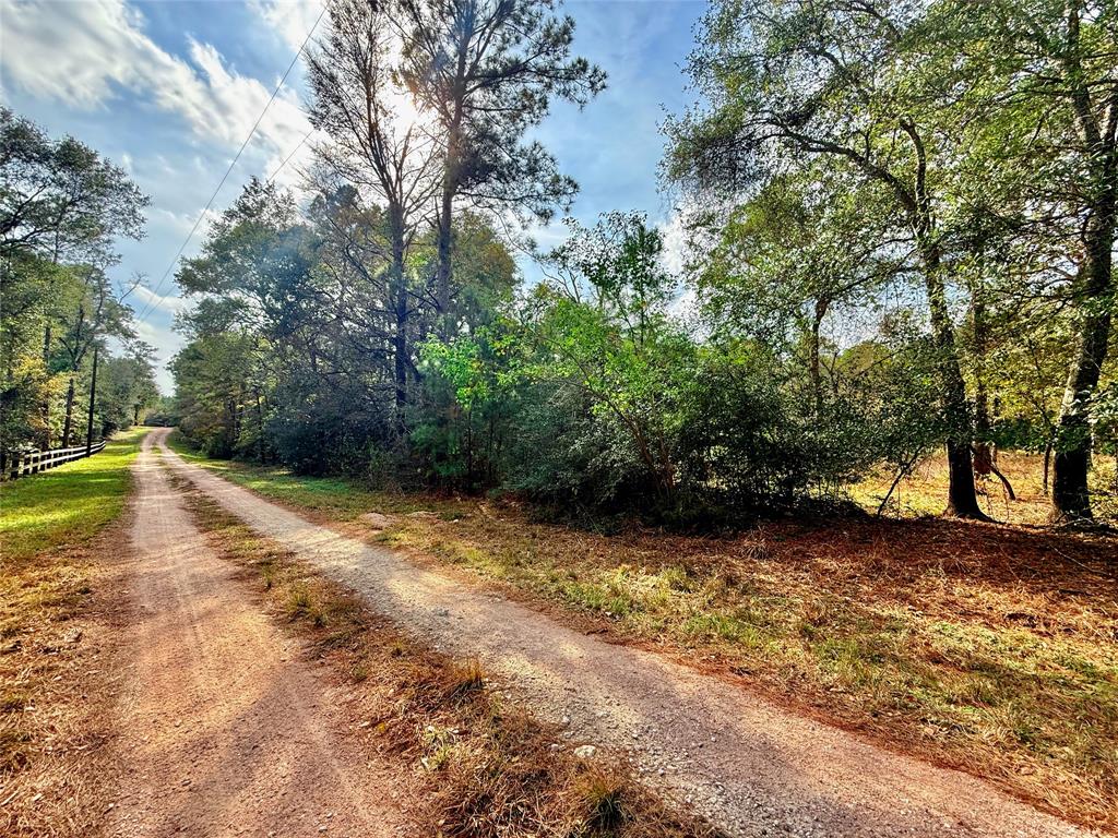 Serendipity Trail, Plantersville, Texas image 2