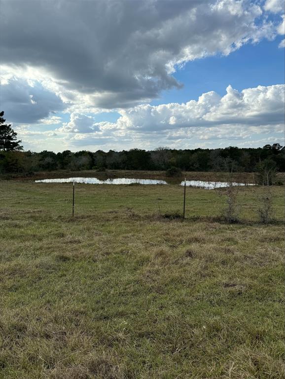 3589 County Road 345, Navasota, Texas image 3