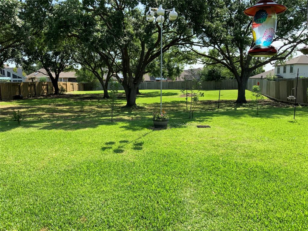2806 Specklebelly Drive, Baytown, Texas image 3