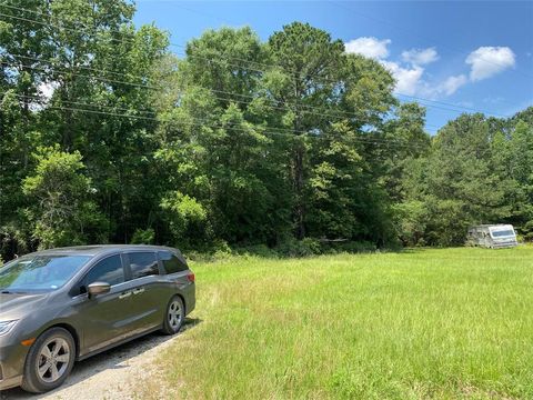 Photo of 23 Plum Pudding Road, Livingston, TX 77351 (MLS # 52785468) Photo of 23 Plum Pudding Road, Livingston, TX 77351 (MLS # 52785468)