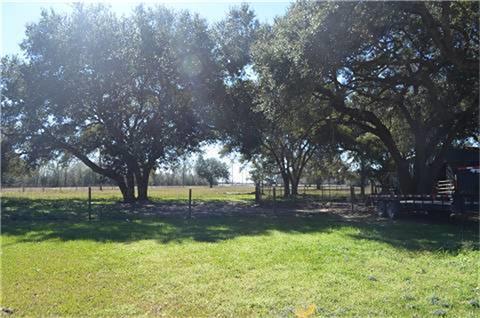 319 Wallace Road, Hankamer, Texas image 10