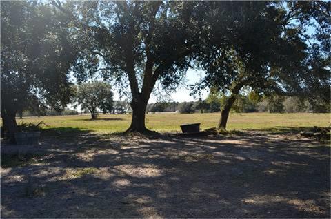 319 Wallace Road, Hankamer, Texas image 11