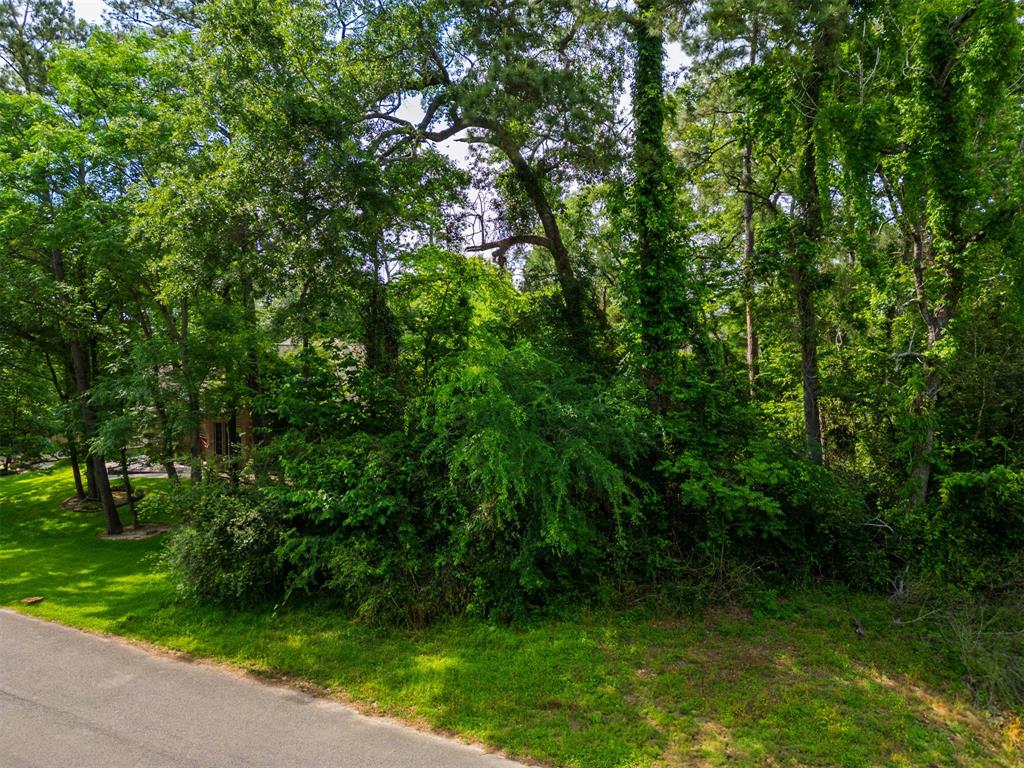 Somerset, Conroe, Texas image 4