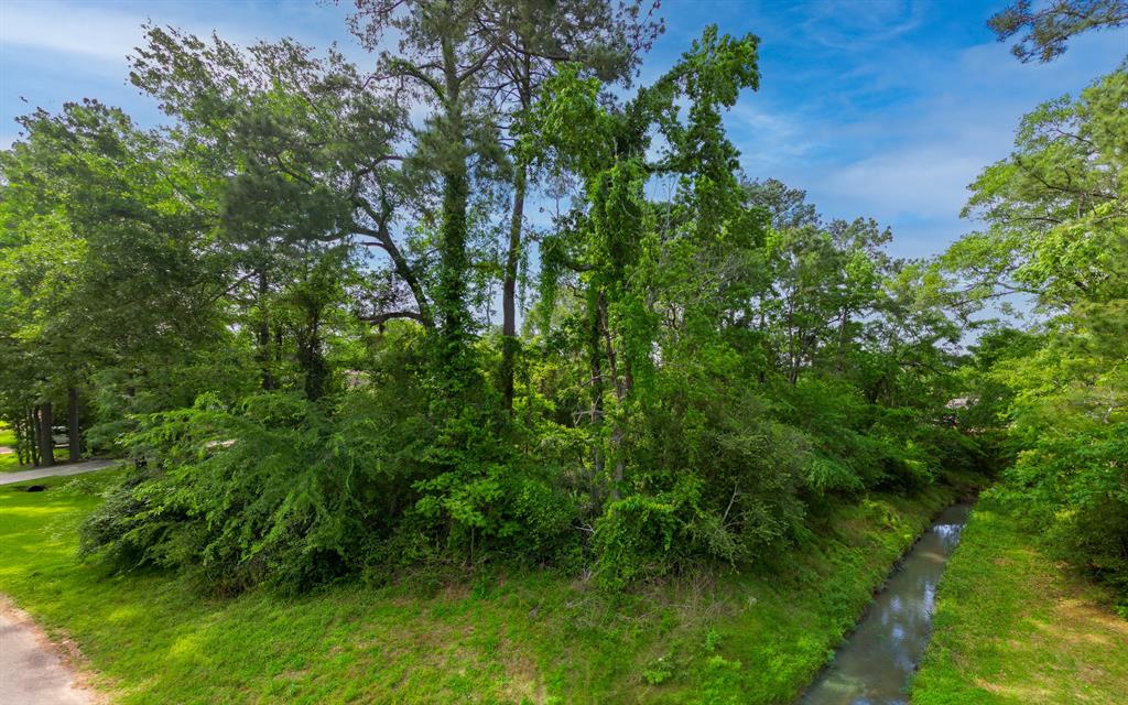 Somerset, Conroe, Texas image 5