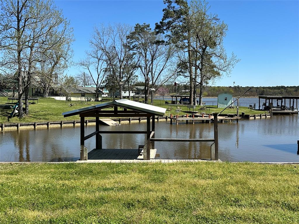 119 Elm Drive, Onalaska, Texas image 3