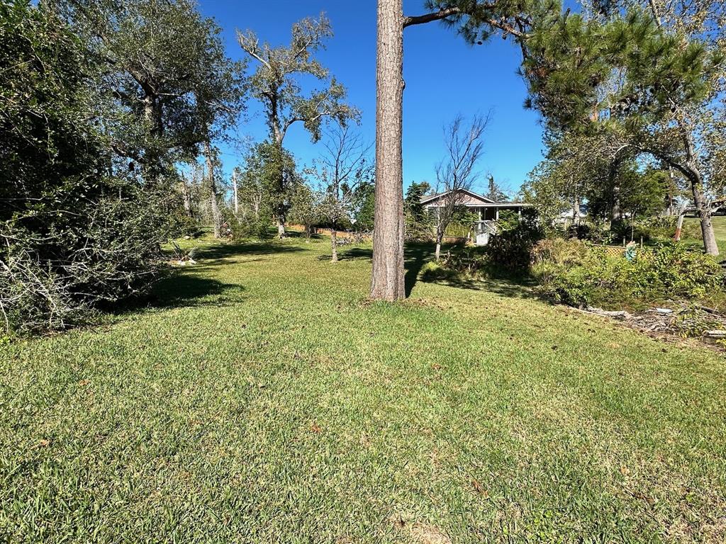 119 Elm Drive, Onalaska, Texas image 5